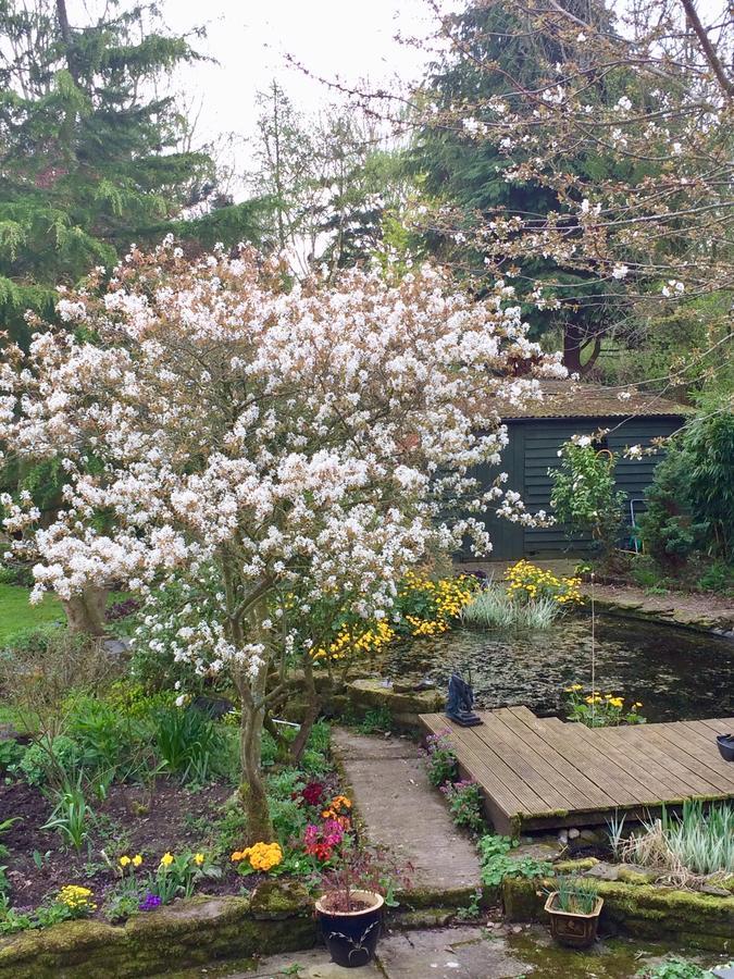 Yew Tree Cottage 레민스터 외부 사진